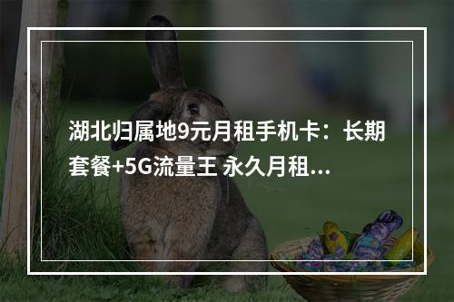 湖北归属地9元月租手机卡：长期套餐+5G流量王 永久月租卡推荐