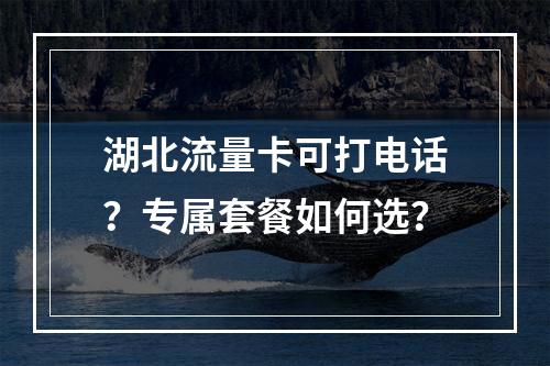 湖北流量卡可打电话？专属套餐如何选？
