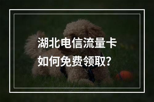 湖北电信流量卡如何免费领取？