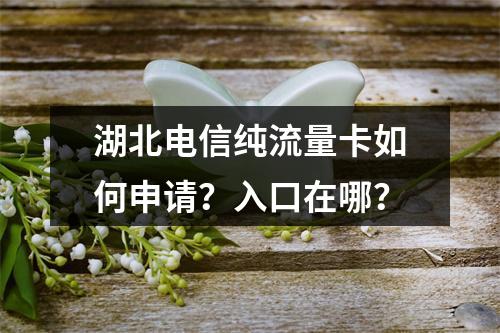 湖北电信纯流量卡如何申请？入口在哪？