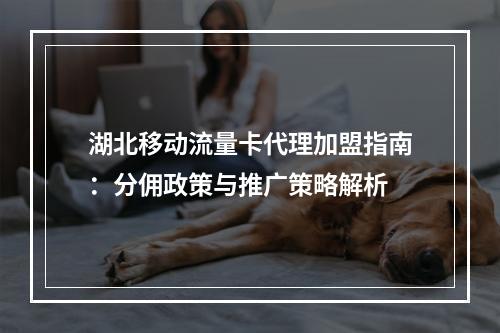 湖北移动流量卡代理加盟指南：分佣政策与推广策略解析