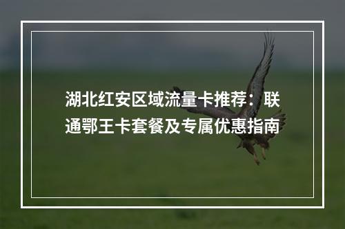 湖北红安区域流量卡推荐：联通鄂王卡套餐及专属优惠指南