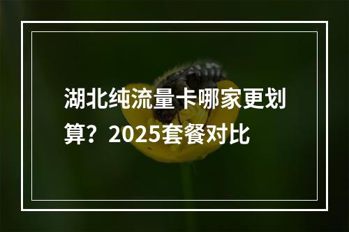 湖北纯流量卡哪家更划算？2025套餐对比