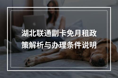 湖北联通副卡免月租政策解析与办理条件说明