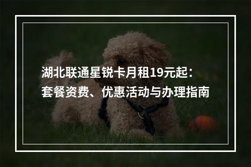 湖北联通星锐卡月租19元起：套餐资费、优惠活动与办理指南