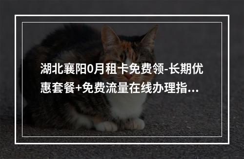 湖北襄阳0月租卡免费领-长期优惠套餐+免费流量在线办理指南
