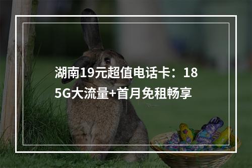 湖南19元超值电话卡：185G大流量+首月免租畅享