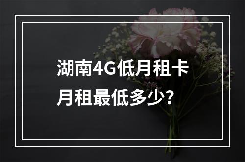 湖南4G低月租卡月租最低多少？
