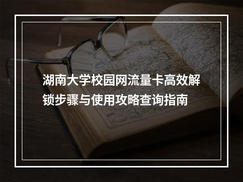 湖南大学校园网流量卡高效解锁步骤与使用攻略查询指南