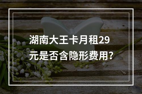 湖南大王卡月租29元是否含隐形费用？
