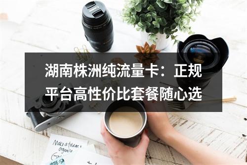 湖南株洲纯流量卡：正规平台高性价比套餐随心选
