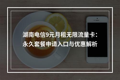 湖南电信9元月租无限流量卡：永久套餐申请入口与优惠解析