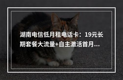湖南电信低月租电话卡：19元长期套餐大流量+自主激活首月免