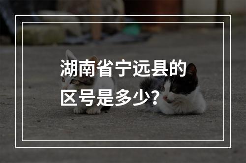 湖南省宁远县的区号是多少？