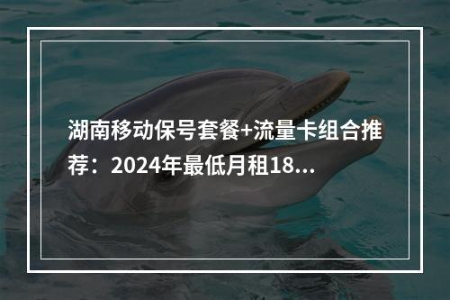 湖南移动保号套餐+流量卡组合推荐：2024年最低月租18元起