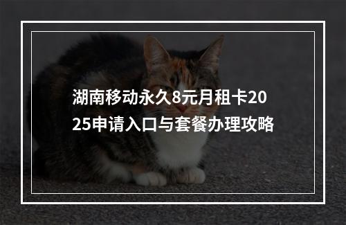 湖南移动永久8元月租卡2025申请入口与套餐办理攻略
