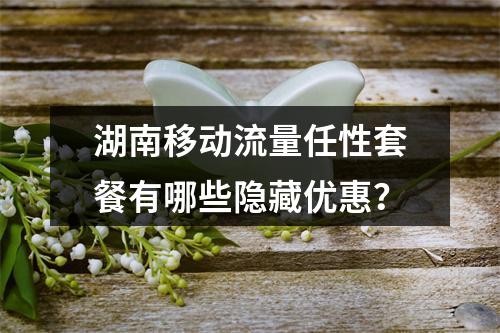湖南移动流量任性套餐有哪些隐藏优惠？