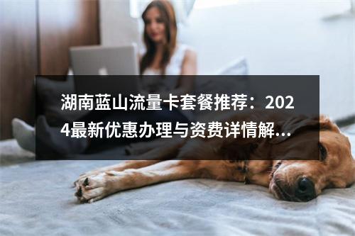 湖南蓝山流量卡套餐推荐：2024最新优惠办理与资费详情解析