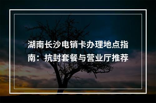 湖南长沙电销卡办理地点指南：抗封套餐与营业厅推荐