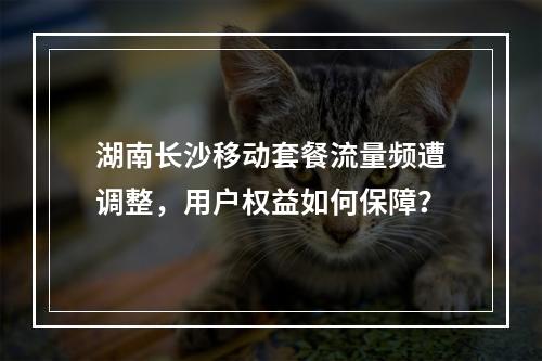 湖南长沙移动套餐流量频遭调整，用户权益如何保障？