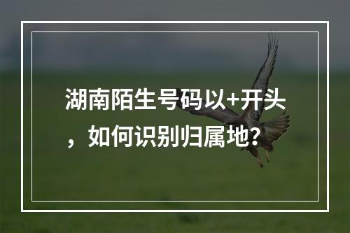 湖南陌生号码以+开头，如何识别归属地？