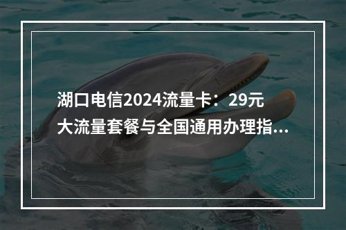 湖口电信2024流量卡：29元大流量套餐与全国通用办理指南