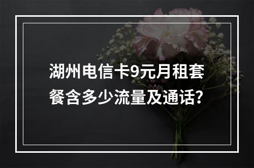 湖州电信卡9元月租套餐含多少流量及通话？