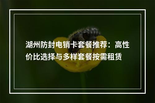 湖州防封电销卡套餐推荐：高性价比选择与多样套餐按需租赁