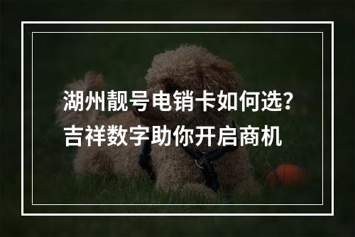 湖州靓号电销卡如何选？吉祥数字助你开启商机