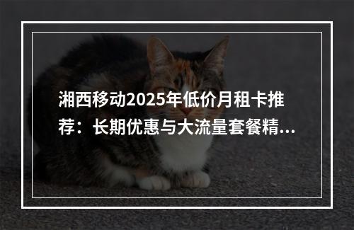 湘西移动2025年低价月租卡推荐：长期优惠与大流量套餐精选