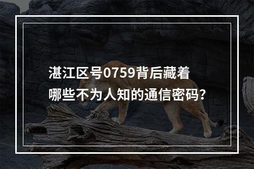 湛江区号0759背后藏着哪些不为人知的通信密码？