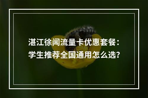 湛江徐闻流量卡优惠套餐：学生推荐全国通用怎么选？