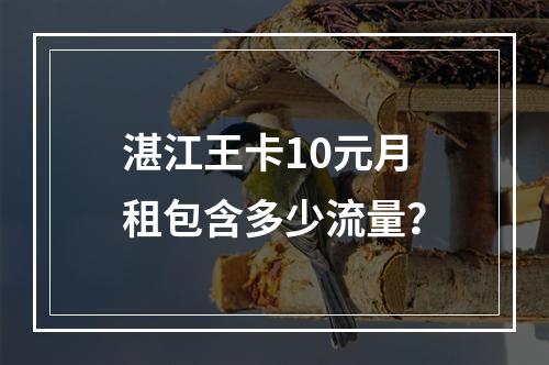 湛江王卡10元月租包含多少流量？