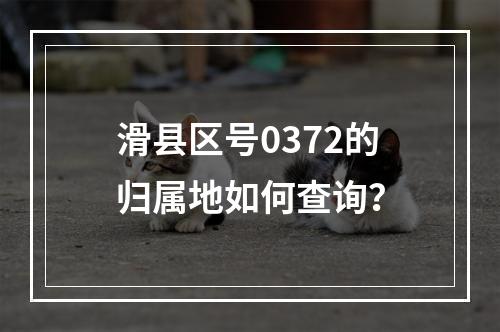 滑县区号0372的归属地如何查询？