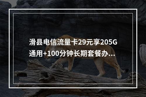 滑县电信流量卡29元享205G通用+100分钟长期套餐办理攻略