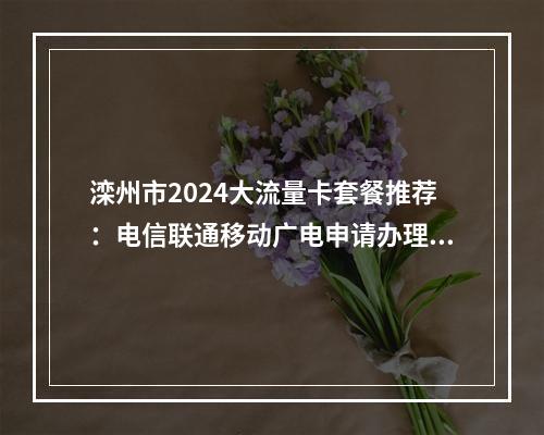 滦州市2024大流量卡套餐推荐：电信联通移动广电申请办理攻略