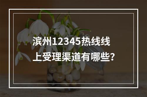 滨州12345热线线上受理渠道有哪些？