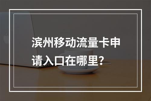 滨州移动流量卡申请入口在哪里？