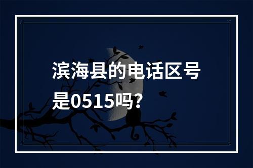 滨海县的电话区号是0515吗？