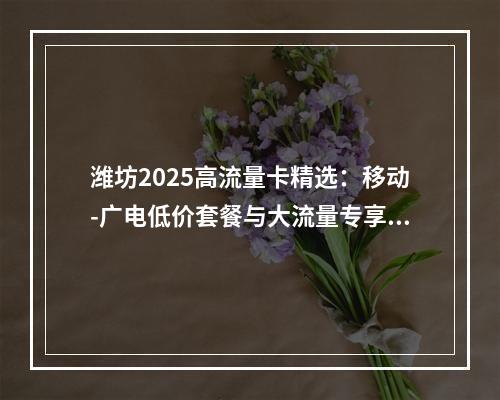 潍坊2025高流量卡精选：移动-广电低价套餐与大流量专享推荐
