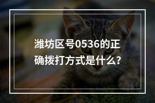 潍坊区号0536的正确拨打方式是什么？
