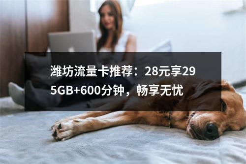 潍坊流量卡推荐：28元享295GB+600分钟，畅享无忧