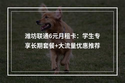 潍坊联通6元月租卡：学生专享长期套餐+大流量优惠推荐