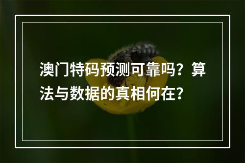 澳门特码预测可靠吗？算法与数据的真相何在？