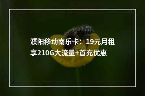 濮阳移动南乐卡：19元月租享210G大流量+首充优惠