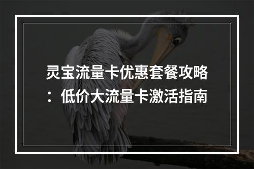 灵宝流量卡优惠套餐攻略：低价大流量卡激活指南