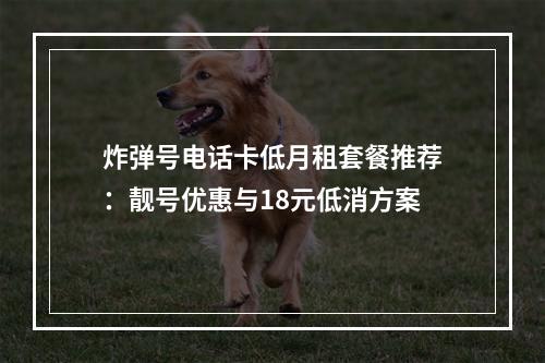 炸弹号电话卡低月租套餐推荐：靓号优惠与18元低消方案