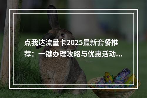 点我达流量卡2025最新套餐推荐：一键办理攻略与优惠活动解析