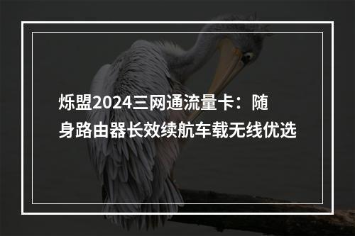 烁盟2024三网通流量卡：随身路由器长效续航车载无线优选