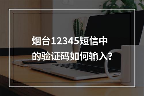 烟台12345短信中的验证码如何输入？
